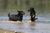 BEAUCERON 672